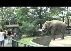 Enlace a ¡Que no quiero más fotos!