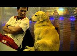 Enlace a Ayer salí, y ya no tengo edad