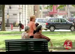 Enlace a ¿Puedes vigilar mi coche?