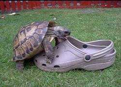 Enlace a Me parece que te has equivocado de... todo