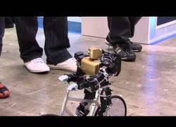 Enlace a En Japon los robots montan en bicicleta