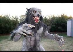 Enlace a ¡Te cagas! Disfraz de Halloween
