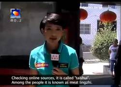 Enlace a Después de excavar unos metros, encuentran este 'hongo'