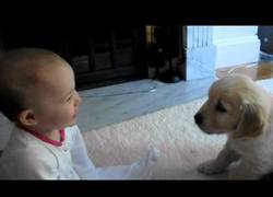 Enlace a Bebé y cachorro se conocen por primera vez