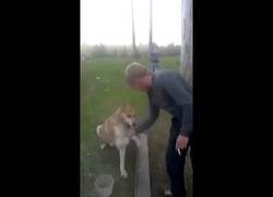 Enlace a ¡Encantado de conocerlo, señor perro!