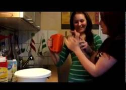 Enlace a No se puede ser más tonta