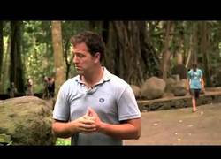 Enlace a Haciendo el reportaje cuando de pronto...