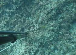 Enlace a Cuando tú lo veas será demasiado tarde