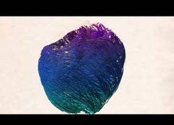 Enlace a Proyecto español de la simulación del corazón, elegido el mejor vídeo científico del año