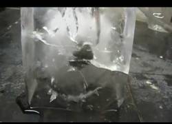 Enlace a Bola de Níquel al rojo vivo vs bloque de hielo