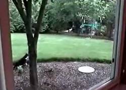 Enlace a Ahí te quedas, pringao