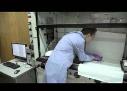 Enlace a Un gran descubrimiento [Inglés]