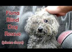 Enlace a Ojalá hubiera más personas así [Inglés]