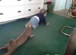 Enlace a Claramente son uno más de la familia