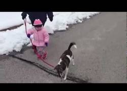 Enlace a ¡La risa más contagiosa del mundo!