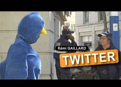 Enlace a Fuera de Twitter, que te sigan no parece tan guay... Lo último de Remi Gaillard