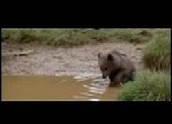 Enlace a La mejor escena del mundo