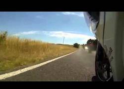 Enlace a Frenada en moto de 100 a 0km/h por no atropellar a un Koala