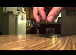 Enlace a Este gato está como yo en exámenes, ansioso por comida