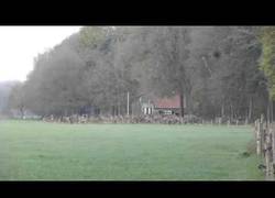 Enlace a Nos escapamos, pero en orden