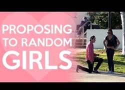 Enlace a ¿Te quieres casar conmigo? [Inglés]