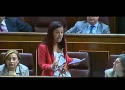 Enlace a No es la crisis es ideología pura y dura