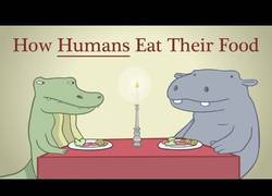 Enlace a Cómo comen los humanos [Inglés]