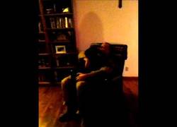 Enlace a Perro llora de forma incontrolable al ver a su amo después de 6 meses