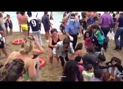 Enlace a Una playa italiana forma una cadena humana para rescatar a una patera