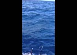 Enlace a Por muy poco este pez espada no hace un pinchito de pescadores encima de su propio barco