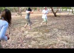 Enlace a Probablemente no sea el animal más peligroso, pero mala leche no le falta a este koala