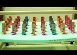 Enlace a 32 metronomos discordantes se sincronizan sólos como por arte de magia