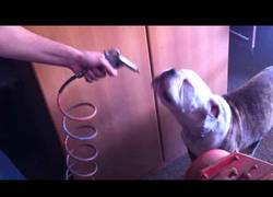 Enlace a ¡No me tires aire en la cara que me lo como!