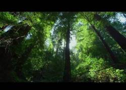 Enlace a Ponlo a tope de calidad y disfruta del espectáculo, la belleza de la naturaleza