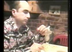 Enlace a Este gatito se comunica por lenguaje de señas