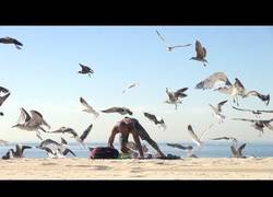 Enlace a Los más trolls de la playa, cuidado el próximo verano que la idea podría extenderse