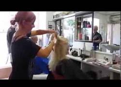 Enlace a Nivel de peluquería: maestra ninja