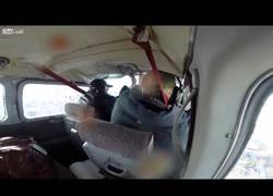 Enlace a Ganso se estrella contra el parabrisas del avión en pleno vuelo