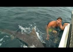 Enlace a Susto de pescador y de los gordos