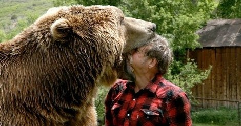 No Tengo Tele Quien No Quiere Un Oso Grizzly En Su Jardin Ingles