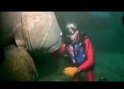 Enlace a Un mero gigante poco amigable