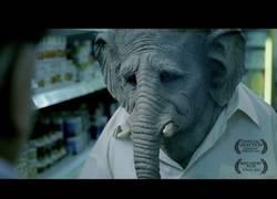 Enlace a El elefante, un curioso corto con la colaboración de Constantino Romero