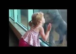 Enlace a Momentos divertidos con niños en el zoológico