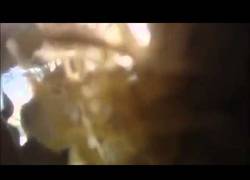 Enlace a Estos soldados sobrevivieron a una explosión bajo sus pies