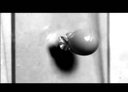 Enlace a Viendo a cámara lenta como un proyectil rompe un cristal