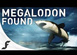 Enlace a Megalodon (tiburón gigante) encontrado en el Battlefield 4