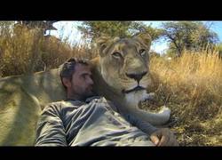 Enlace a Conviviendo en paz con leones y hienas visto en primera persona, precioso y espeluznante por igual