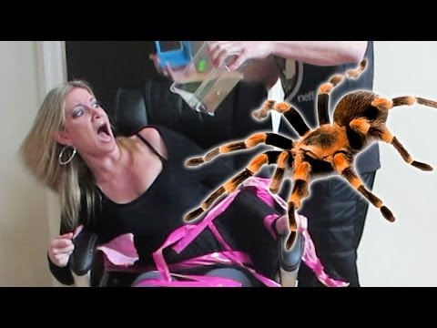Pvp Pranks