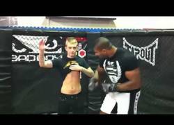 Enlace a Alistair Overeem, luchador profesional de MMA, golpea a un fan por petición propia