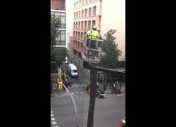 Enlace a A veces para encontrar fails tontísimos no hace falta salir del país, cortando árboles en Barcelona